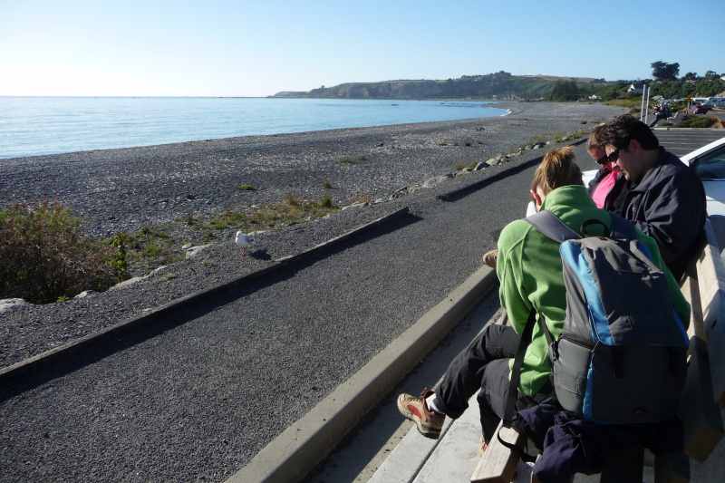 Nieuw-Zeeland 2011 - 1191